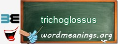 WordMeaning blackboard for trichoglossus